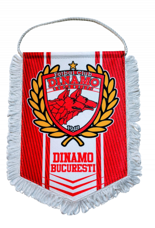 Stadion - Fanion FC Dinamo- Emblema