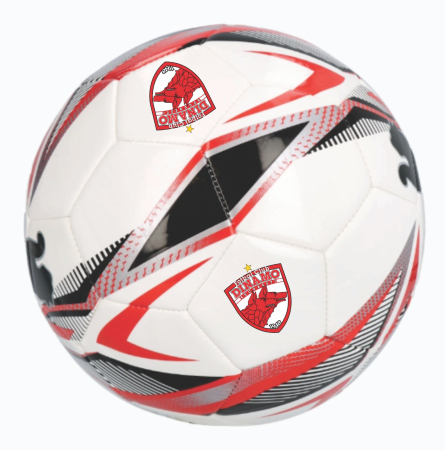 Minge Puma FC Dinamo [1]