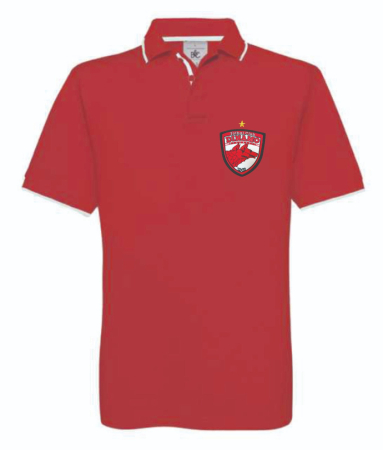 Tricouri Polo - Tricou Polo Elegant