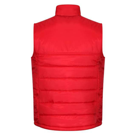 Vestă FC Dinamo #1 [1]