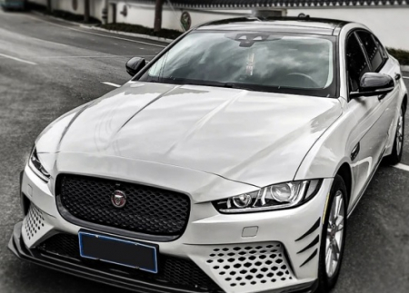 Gri - ChinchillaGrey