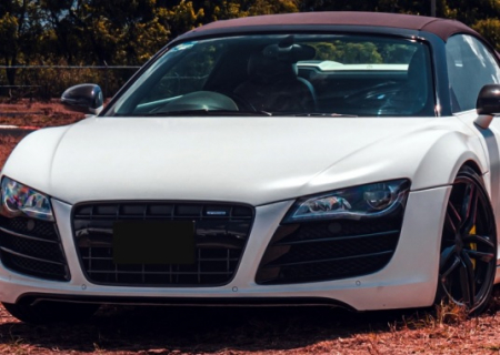 Gri - Frozen Gray Lily