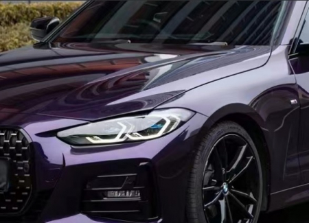 Mov - Gt Purple