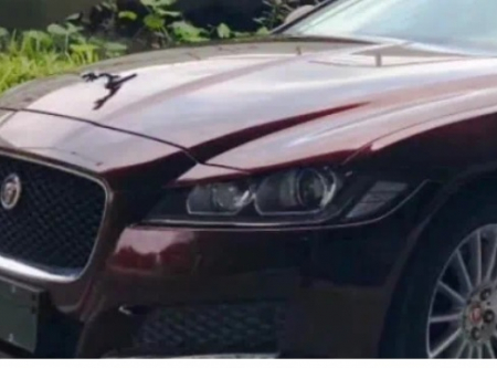 Rosu - JaguarBlackRose