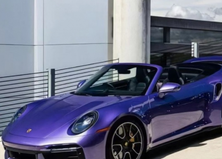 Mov - MountainAsterPurple