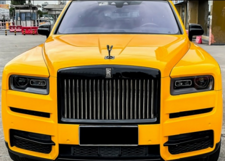 Galben - Sunflower Yellow