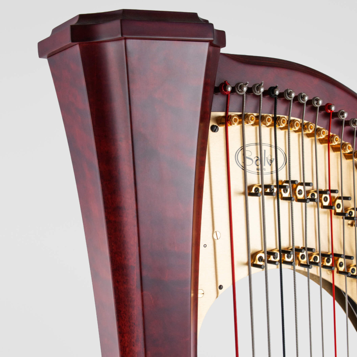 Harpă Salvi Arion SG [2]