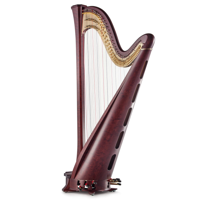 Harpă Salvi Arion SG [5]