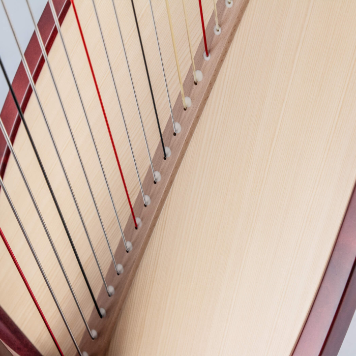 Salvi Arion SG – harpă profesională cu pedale [3]