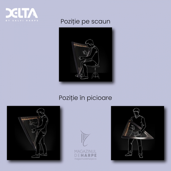 Harpă electrică Salvi Delta [2]