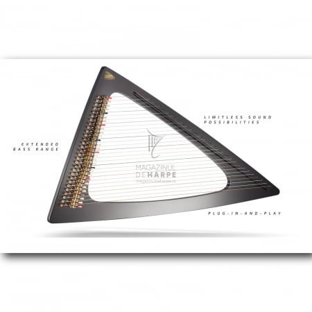 Harpe fără pedale - Harpă electrică Salvi Delta