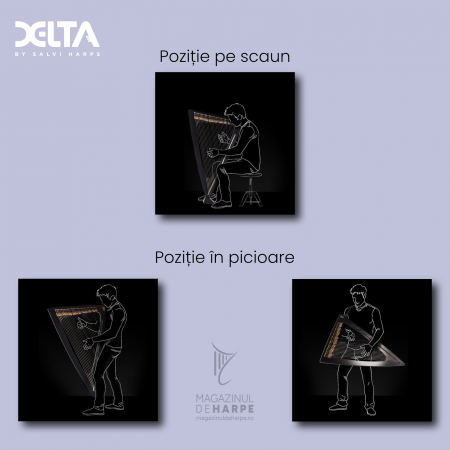 Harpă electrică Salvi Delta [1]
