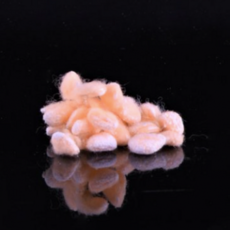 Bulete hemostatice Pascal Retrax® AS [2]