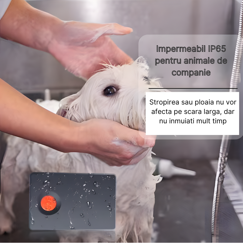 GPS Tracker ST-904, Dispozitiv de monitorizare pentru autoturism, animale, bagaje, batrani si copii, Localizare in timp real, SIM 2G, Buton SOS, Rezistent la apa IP65, Baterie reincarcabila 1200 mAh, [4]