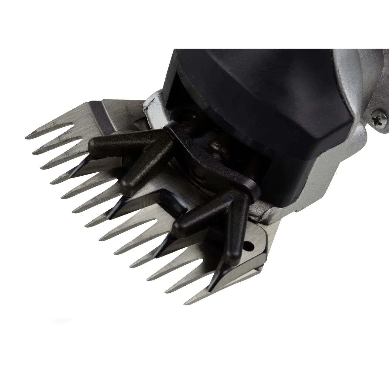 Aparat electric profesional pentru tuns oile, 800W [3]