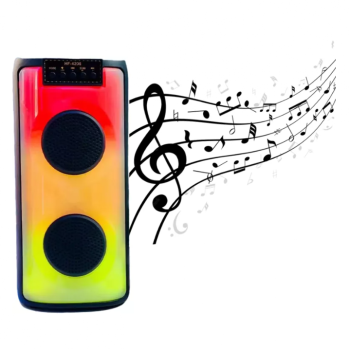 Boxa portabila Bluetooth 30W HF-4206, Lumini LED, Microfon, Aux [3]