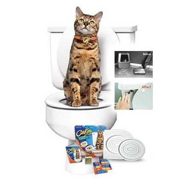 Citi Kitty - kit pentru educarea pisicilor la toaleta [2]