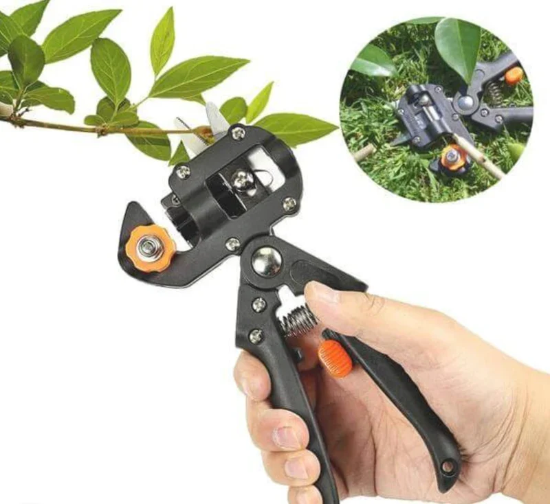Cleste pentru Altoit copaci cu 3 cutite U V Omega [2]