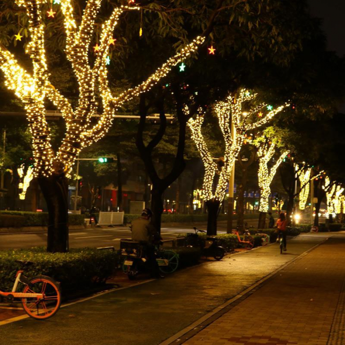 Instalatie de Craciun, tip liniara, pentru exterior, 600 led-uri, 100m, diverse culori [5]