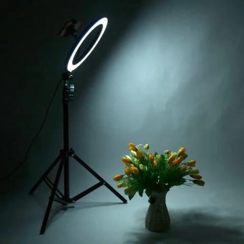 Lampa circulara cu Trepied Selfie Ring Light cu LED, 25 cm, Lumina calda/rece/RGB [3]
