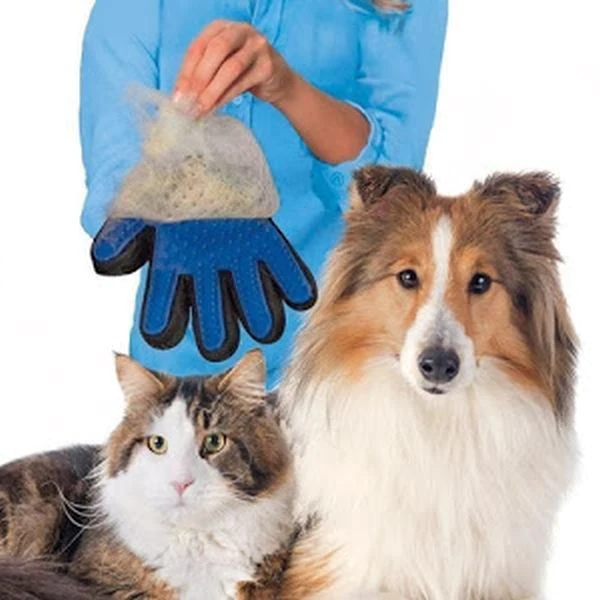 Manusa cu perie pentru animale de companie [2]
