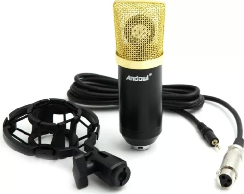 Microfon profesional Andowl Q Mic3 pentru inregistrari [3]
