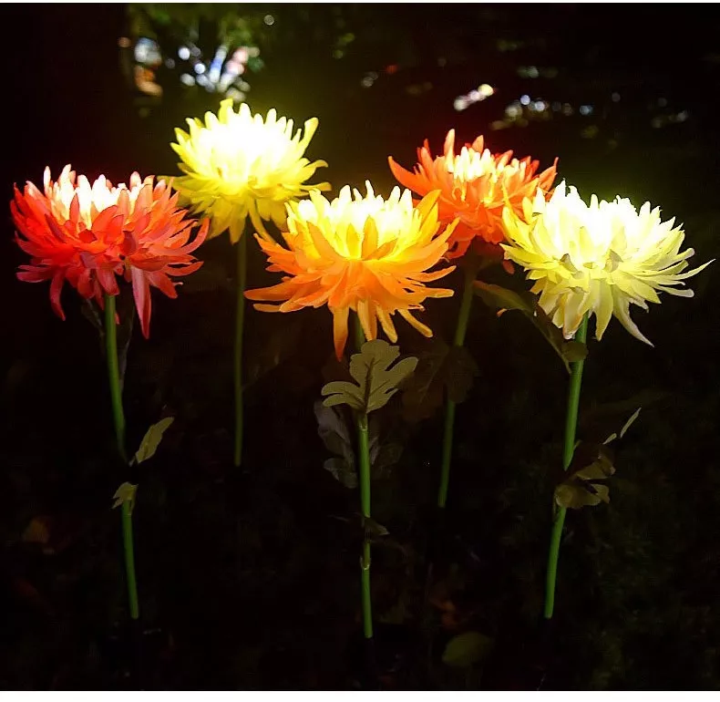 Set 2 lampi solare model floare Crizantema, pentru gradina iluminare decorativa exterior, inaltime 80 cm [2]