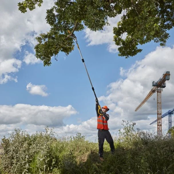 Set Mini Drujba, Foarfeca Electrica, Foarfeca Gard Viu, cu Tija Telescopica 2M si 2 Acumulatori 48V [5]