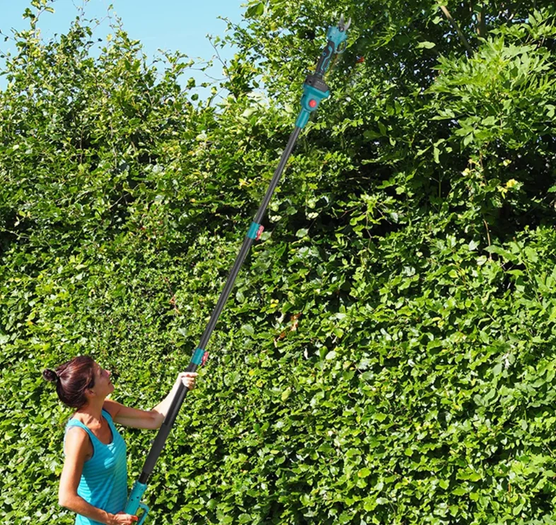 Set Mini Drujba, Foarfeca Electrica, Foarfeca Gard Viu, cu Tija Telescopica 2M si 2 Acumulatori 48V [3]