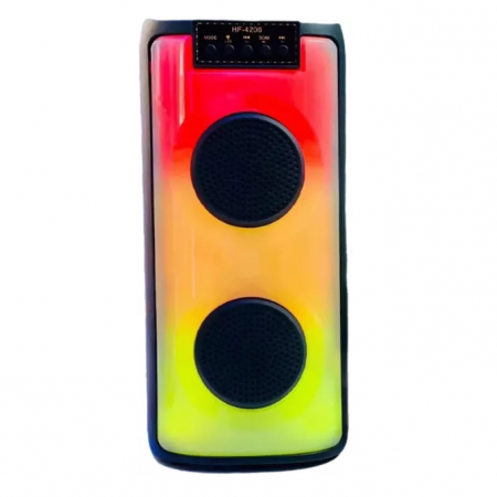 Boxa portabila Bluetooth 30W HF-4206, Lumini LED, Microfon, Aux [4]