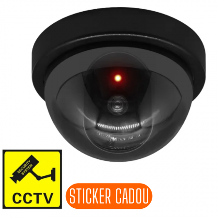 TOATE PRODUSELE - Camera Falsa Tavan, Led rosu intermitent, STICKER CADOU