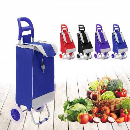 ORGANIZARE & DEPOZITARE - Carucior pentru cumparaturi cu 2 roti