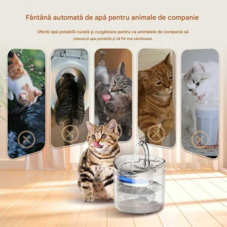 Dispenser Apa pentru Pisici si Caini, tip Fantana, Ultra-Silentioasa, Sistem filtrare cu Carbune Activ, Recirculare [2]