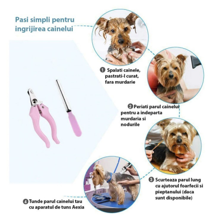 Masina de tuns caini, animale de companie, 5 in 1, Accesorii incluse, 4 Marimi, Foarfeca, cleste unghii, Acumulator inclus [3]