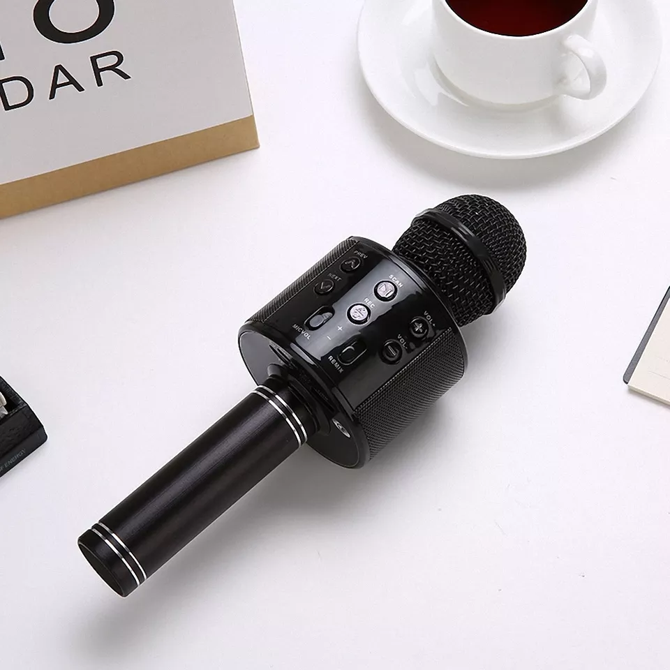 Microfon Karaoke WiFi Radio, Bluetooth, USB, Boxa cu LED [7]