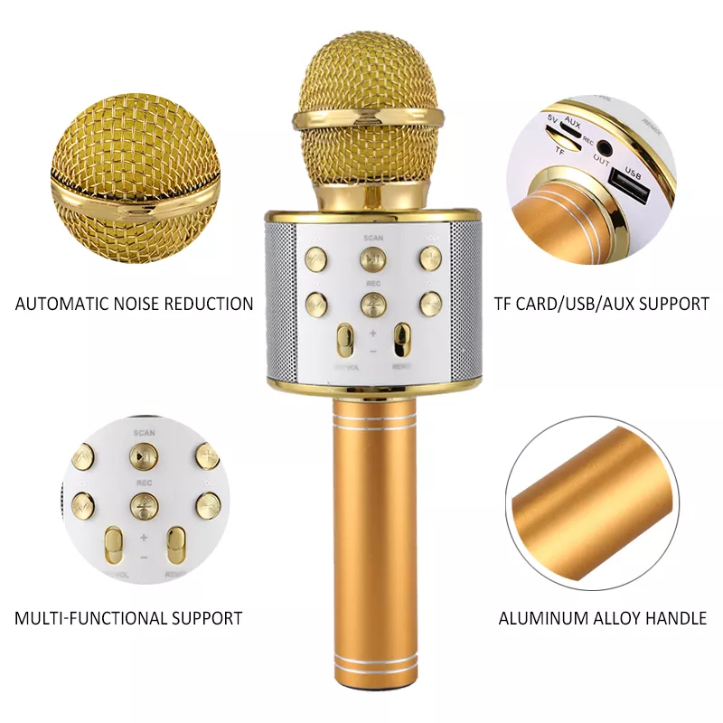 Microfon Karaoke WiFi Radio, Bluetooth, USB, Boxa cu LED [8]