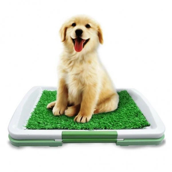 Toaleta cu Iarba artificiala pentru animale, Puppy Potty Pad [4]