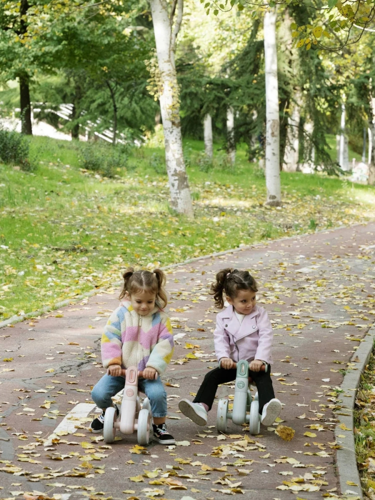 Bicicletă de echilibru Saro “Ride Free” Pink, fără pedale, cu 4 roți pentru stabilitate (2 față + 2 spate), lumină frontală, 12+ luni, max 25 kg [6]