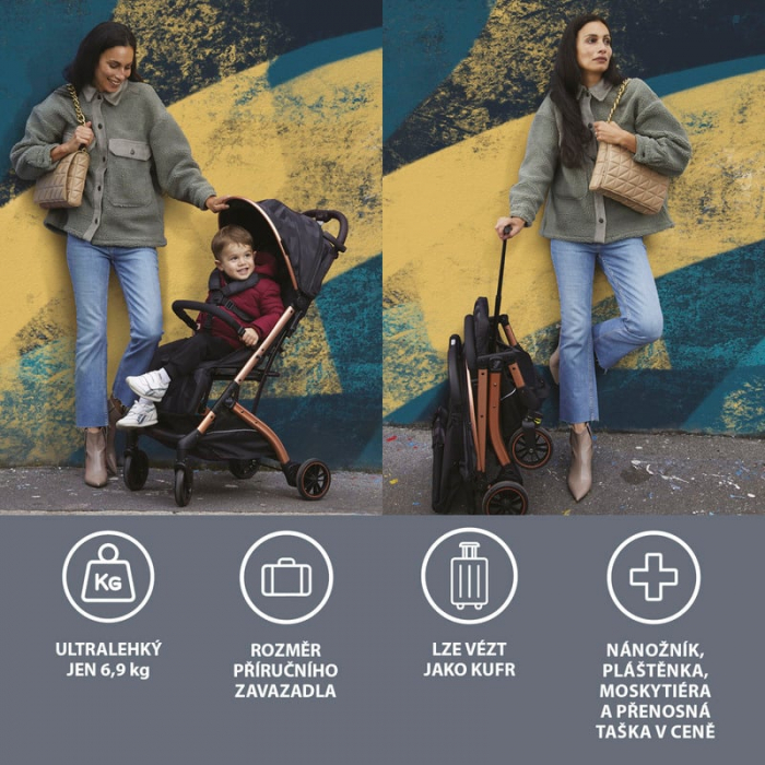 Carucior sport Compass 2.0  Grey CAM, 0 - 4 ani sau 22 kg [9]