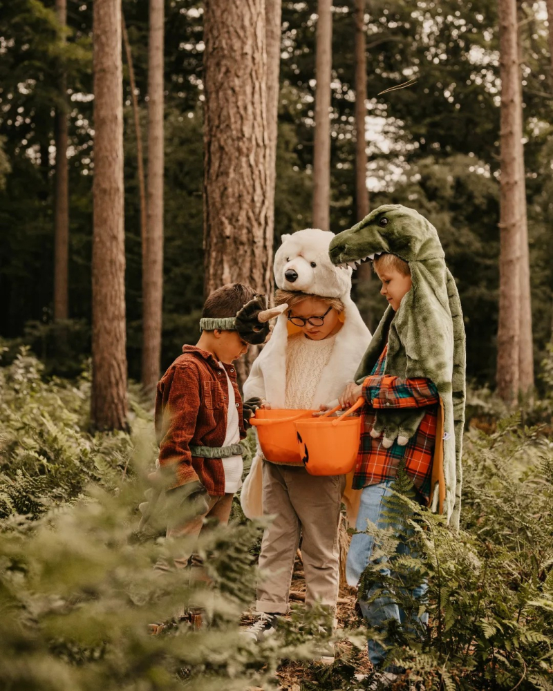 Costum copii Wild & Soft T-Rex – costum animal pluș premium, pelerină de joacă și păturică [12]