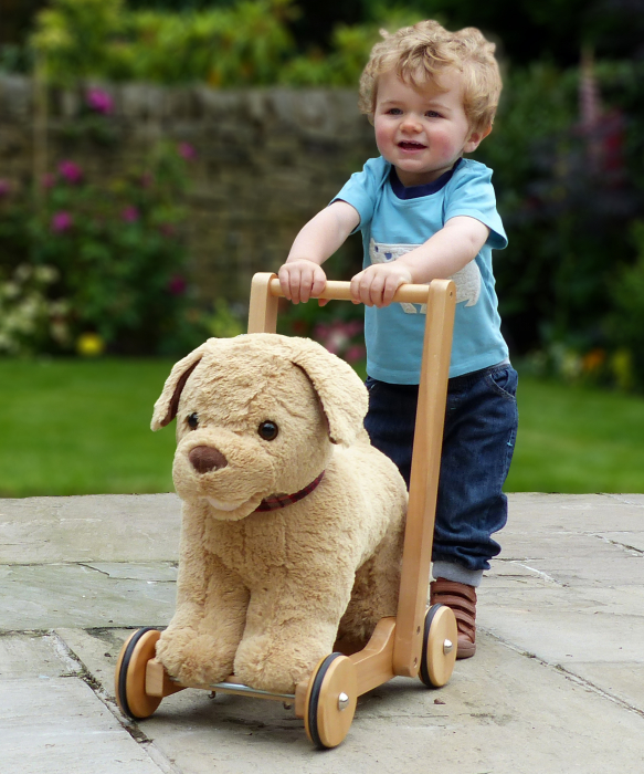Little Bird Told Me - Dexter Dog Walker, Push Along & Ride On Toy pentru copii de peste 1 an, Golden Labrador Caine Pufos pentru copii mici, Cadru robust din lemn, Scaun căptusit [4]