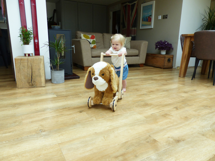 Little Bird Told Me - Peanut Pup Walker, Push Along & Ride On Toy pentru copii de peste 1 an, King Charles Spaniel Caine Pufos pentru copii mici, Cadru robust din lemn, Scaun căptusit [12]