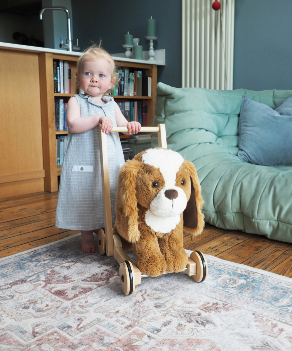 Little Bird Told Me - Peanut Pup Walker, Push Along & Ride On Toy pentru copii de peste 1 an, King Charles Spaniel Caine Pufos pentru copii mici, Cadru robust din lemn, Scaun căptusit [9]