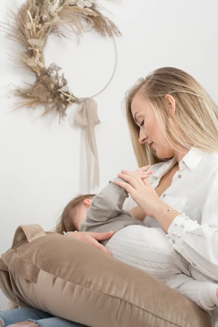 Perna pentru gravide si alaptare, catifea velvet si umplutura ferma, antialergică, Big cu maner, Lila, BabyLy [9]