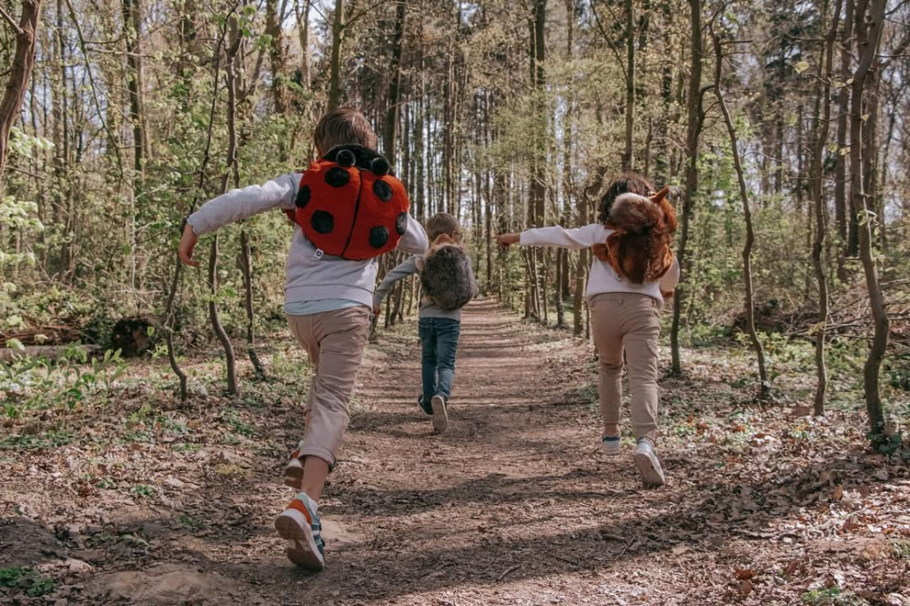 Rucsac copii Wild & Soft Buburuză – rucsac pluș premium cu bretele reglabile [10]