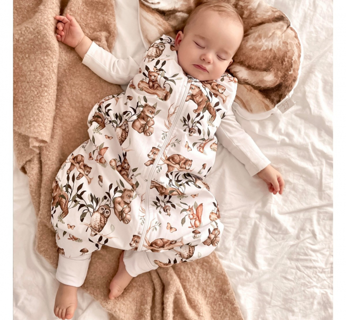 Sac de dormit cu picioare, bumbac 2.5 Tog, Dreams, S, 1-2 ani [3]