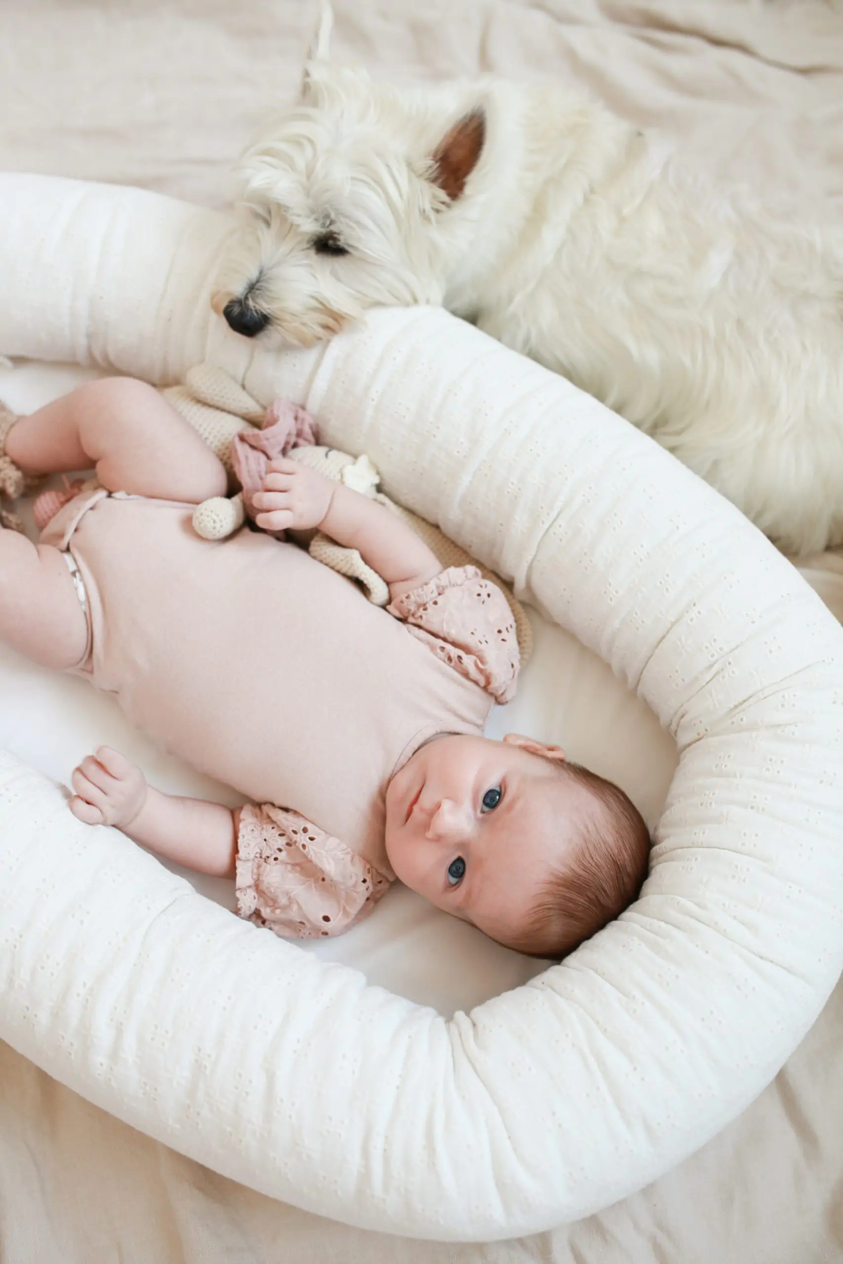 Suport de dormit Babynest 2in1 bara protectie patut Premium Bumbac Brodat Roz by BabyLy, 85x50 cm [12]