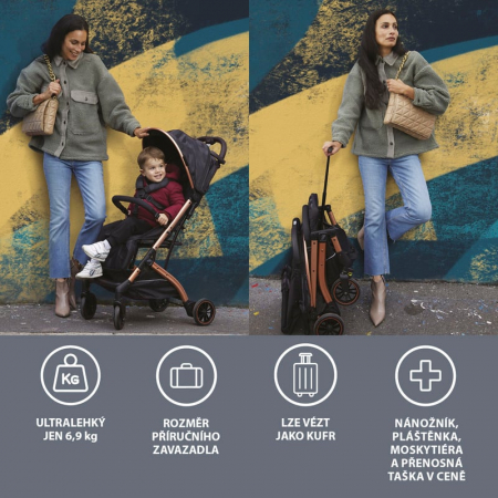 Carucior sport Compass 2.0  Grey CAM, 0 - 4 ani sau 22 kg [8]