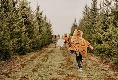 Costum copii Wild & Soft Tigru – costum animal pluș premium, pelerină de joacă și păturică [18]