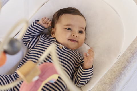 Cosulet multifunctional 4 in 1 Chicco Baby Hug Armonia, Scandinavian (Gri), 0 luni+ [13]